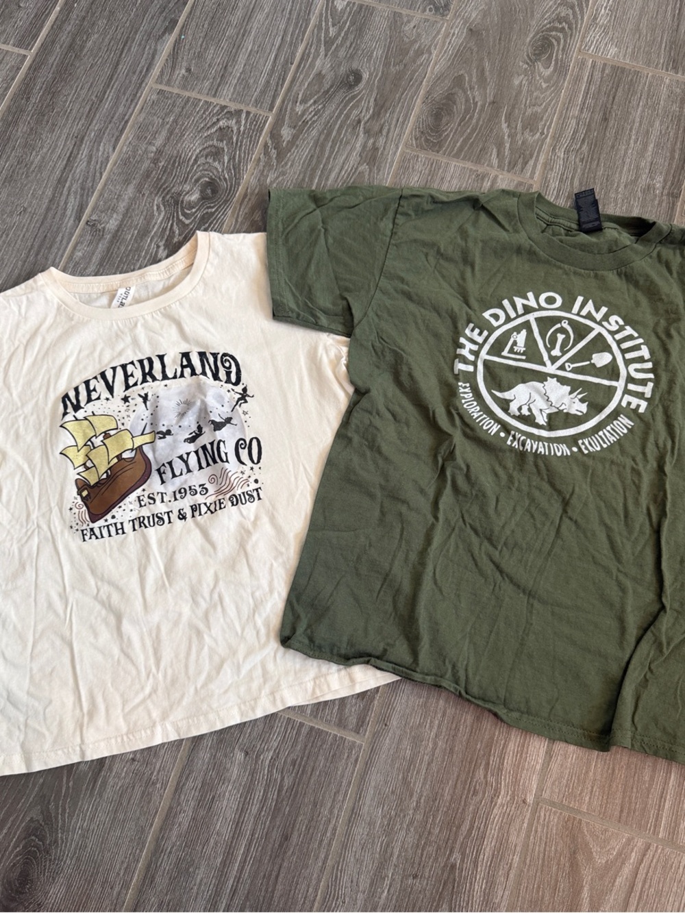 Boys Youth Large Disney Vacation tees Neverland Peter Pan Dino institute EUC